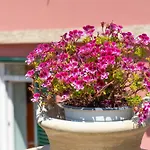 Les Petites Maisons Maison Rouge